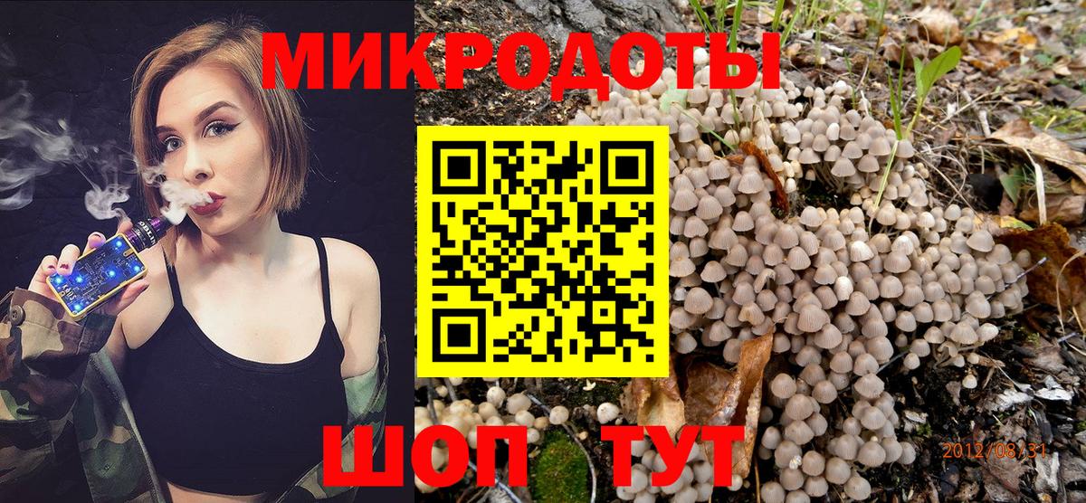 Псилоцибиновые грибы Psilocybe  Вход с VPN  Псилоцибиновые грибы Cubensis  Верхняя Салда 